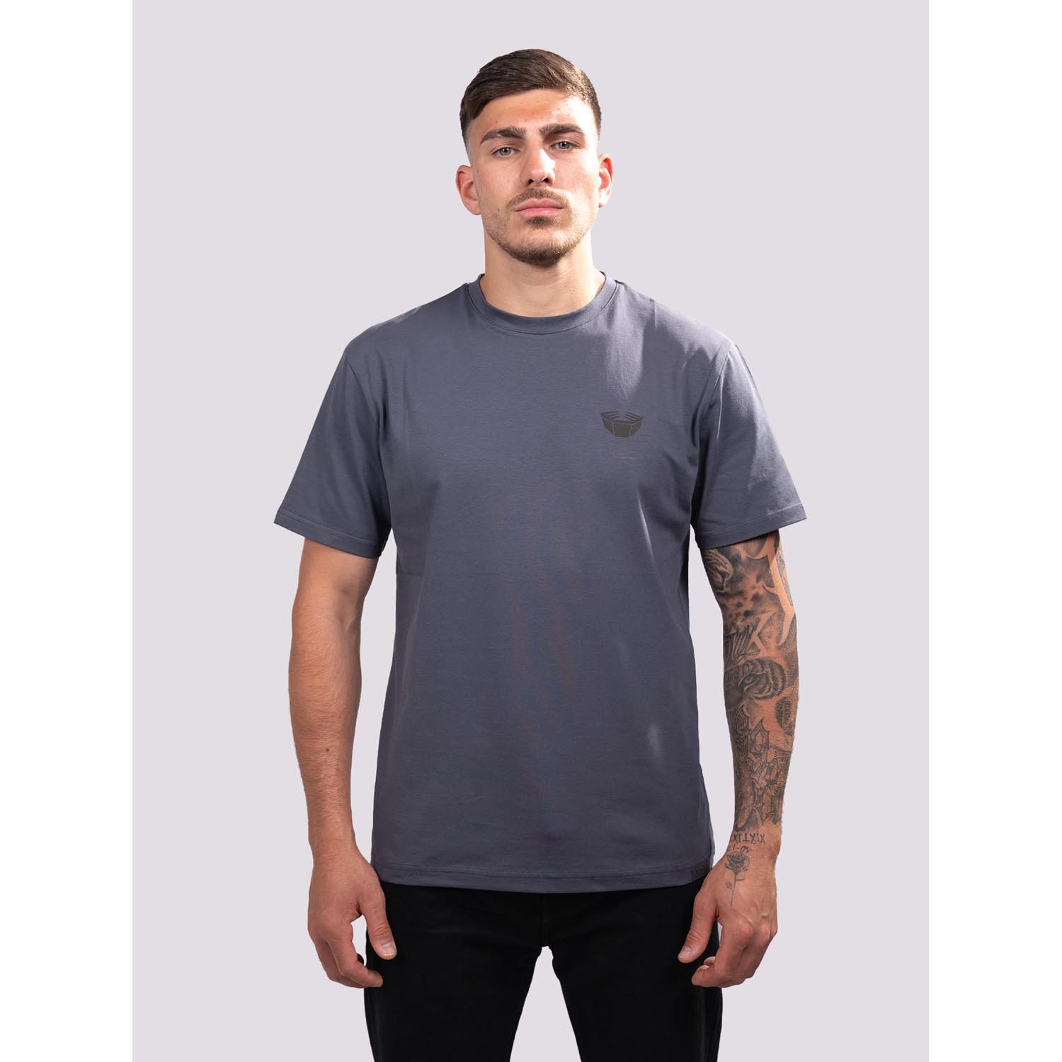 RINGLIFE T-Shirt, Sparring Division, grey, XXL