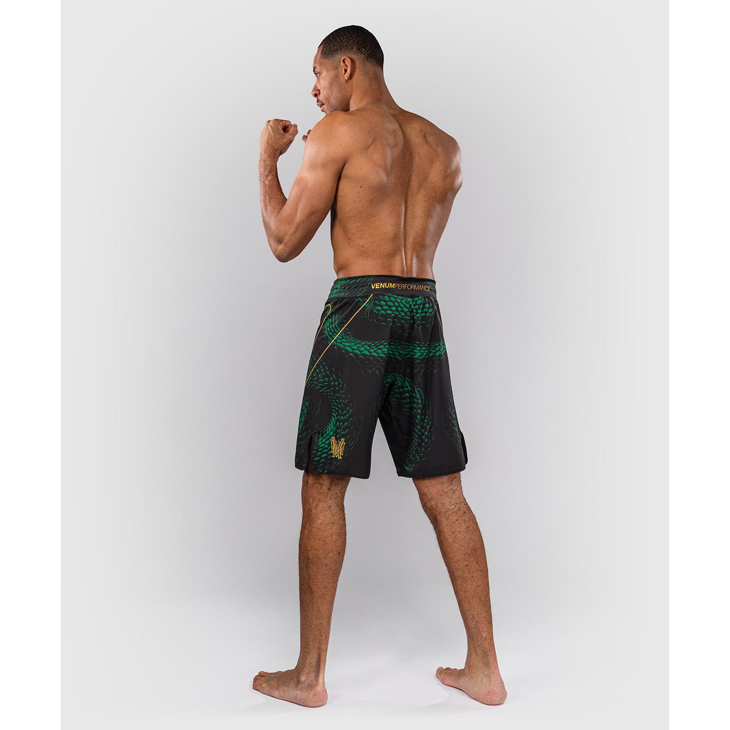 VENUM MMA Fight Shorts, Matupa, black-green-gold, S