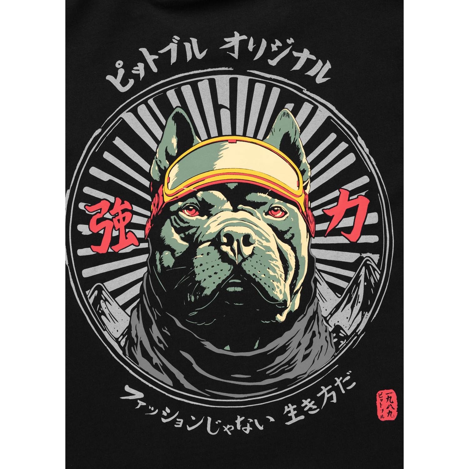 Pit Bull West Coast, T-Shirt, Mt. Fuji, black, XXXL