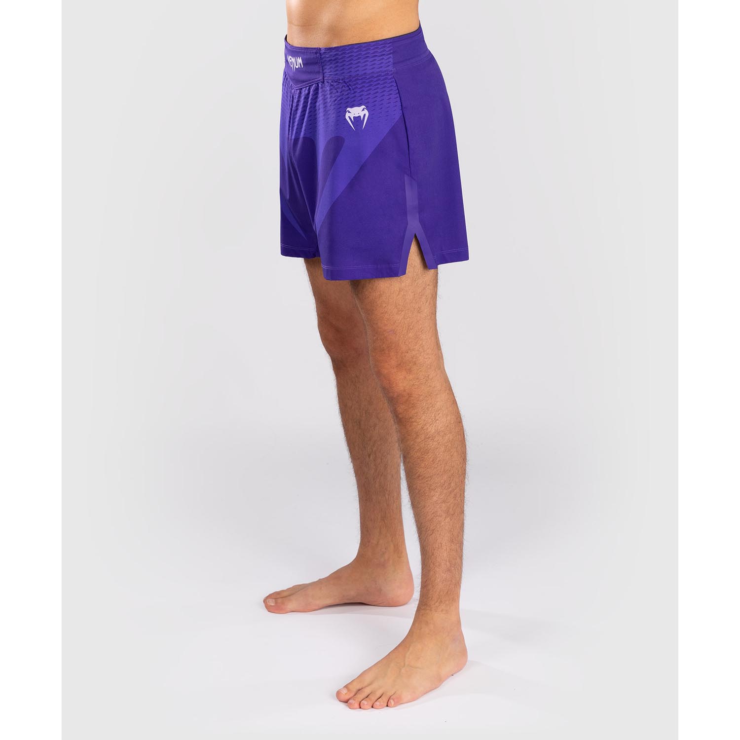 VENUM MMA Fight Shorts, No Gi, purple, L