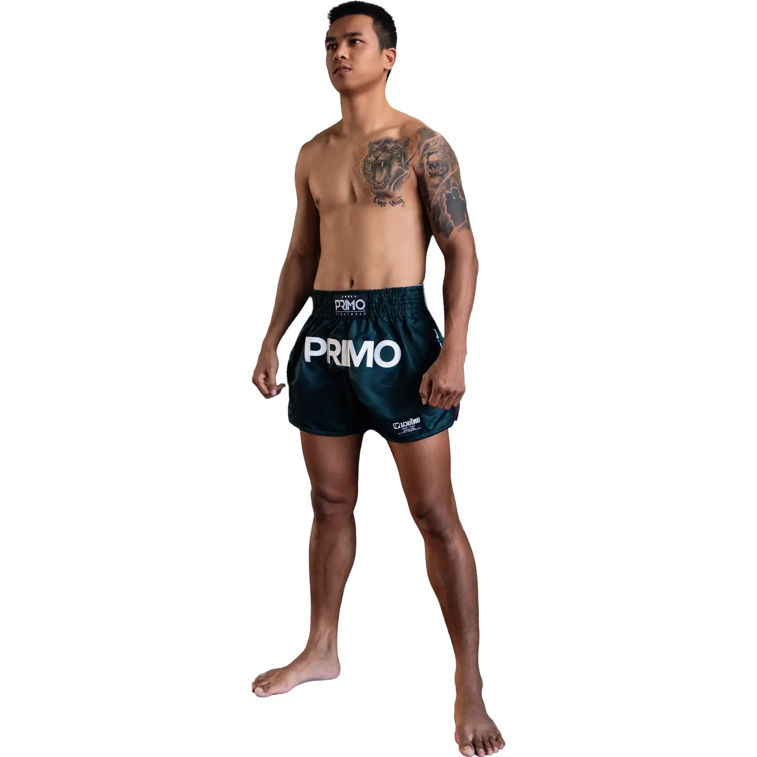 PRIMO Muay Thai Shorts, Mamba, green, XXL