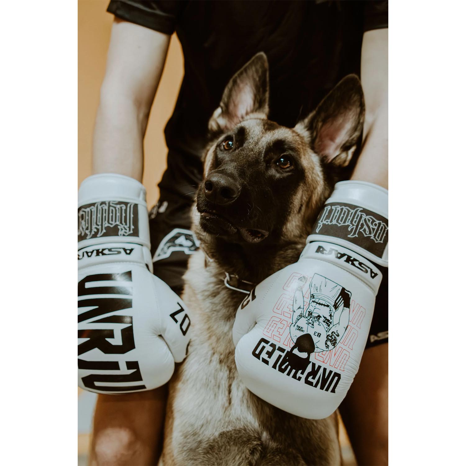 ASKARI Boxing Gloves, Unrivaled, white-black, 16 Oz