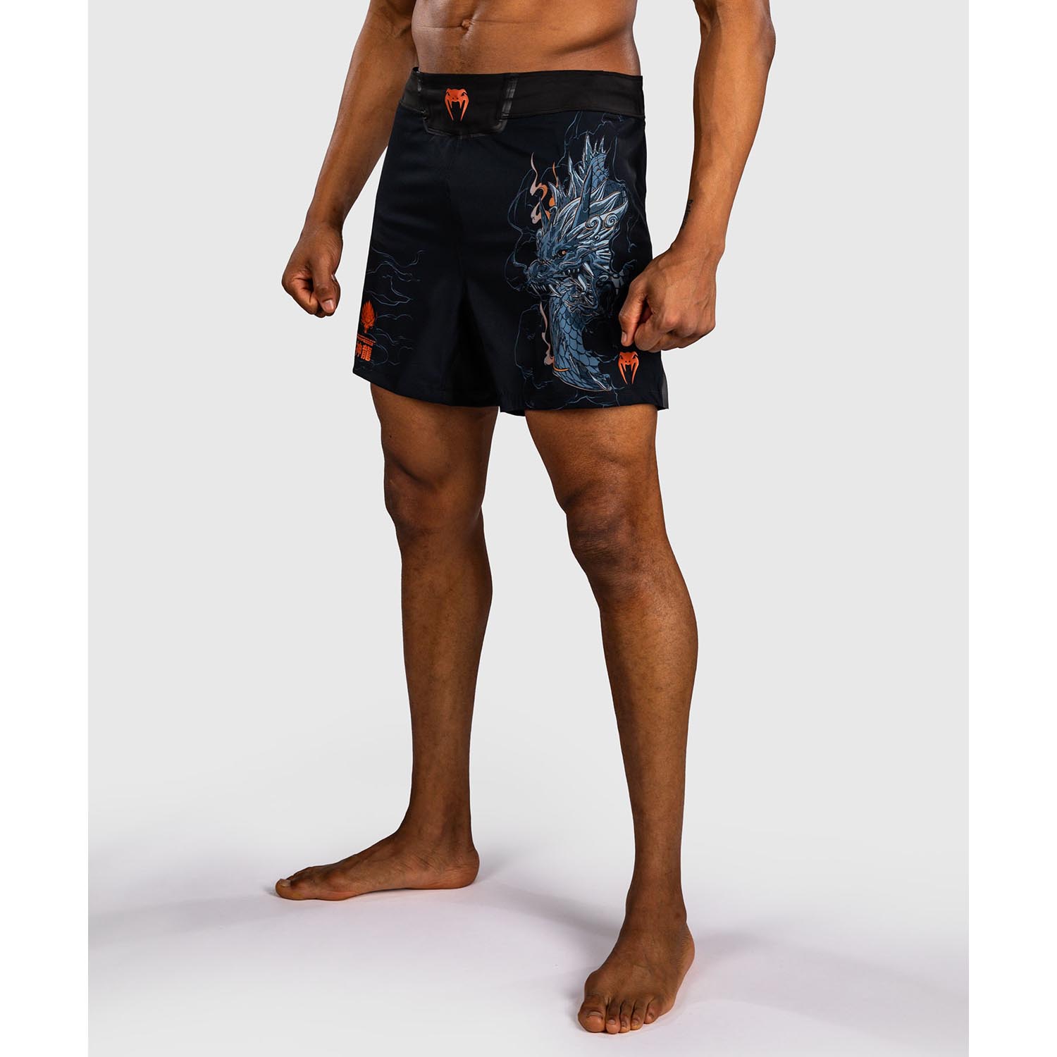 VENUM MMA Fight Shorts, Thunder Dragon, black-gray, XXL