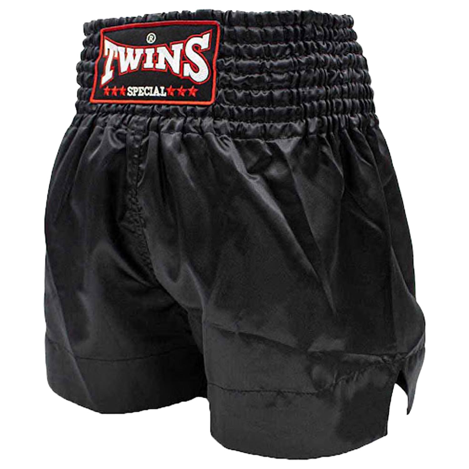 TWINS Special Muay Thai Shorts, TTE001, black, L