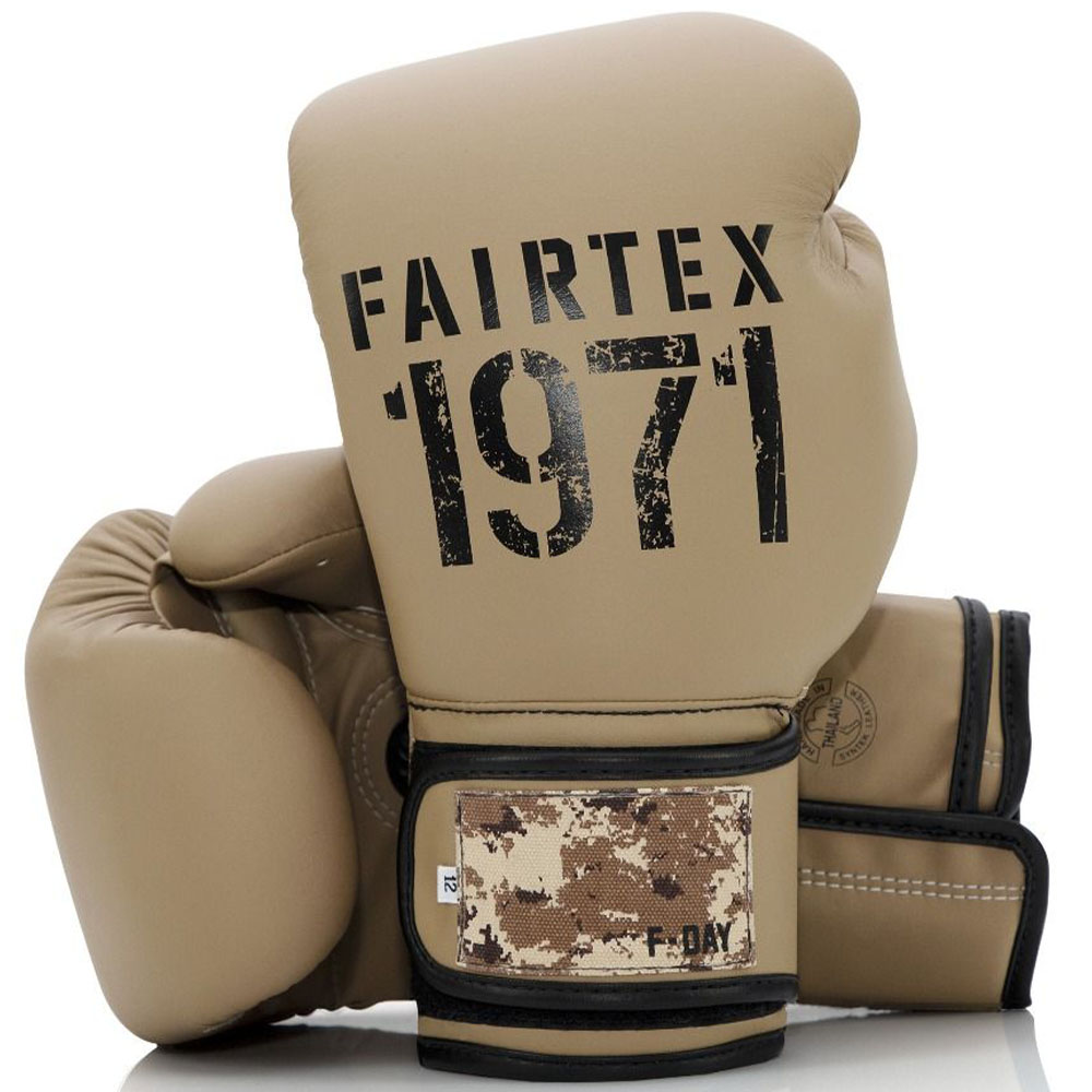 Fairtex Boxhandschuhe, BGV11, F-Day 2