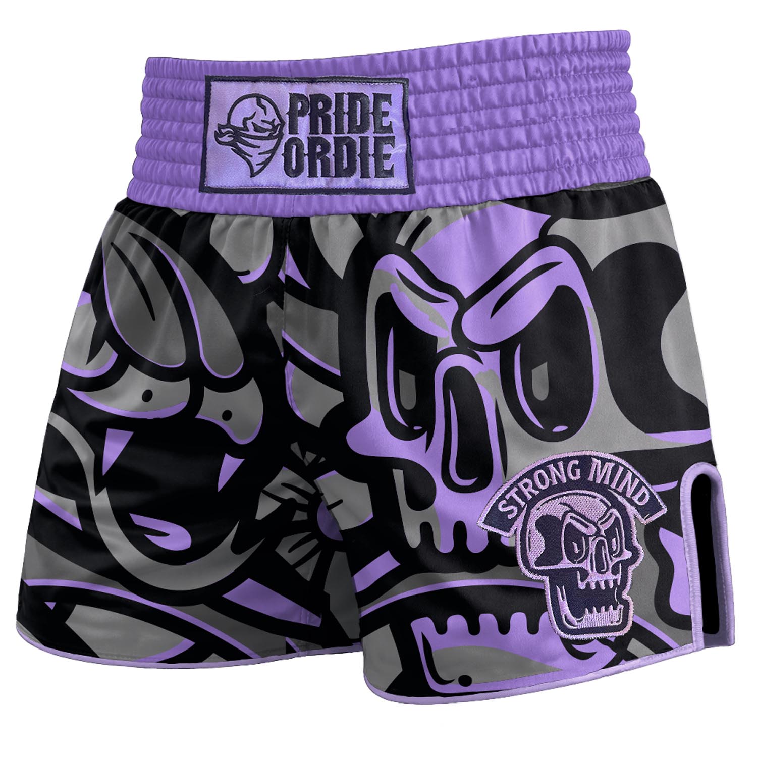 PRiDEorDiE Muay Thai Shorts, Cold Instinct, grey-purple, XL