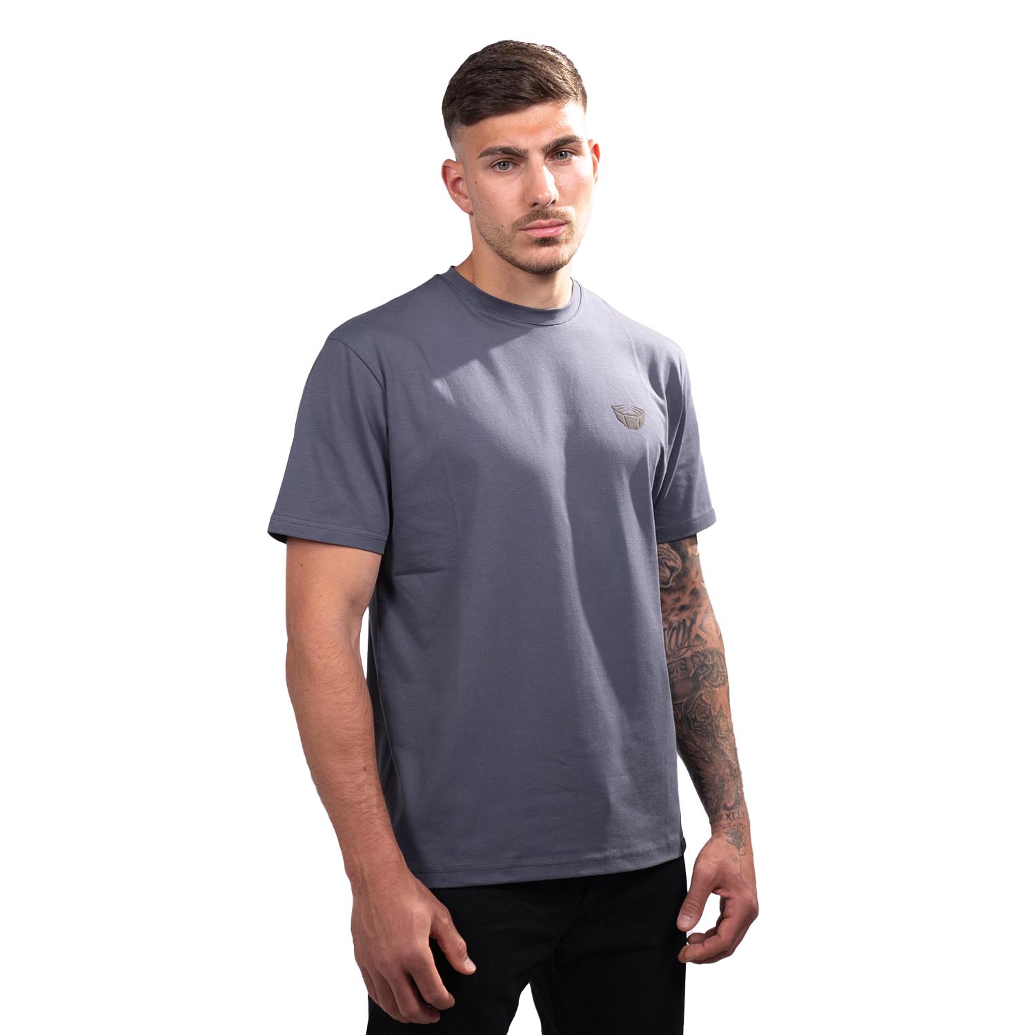 RINGLIFE T-Shirt, Sparring Division, grey, XXL