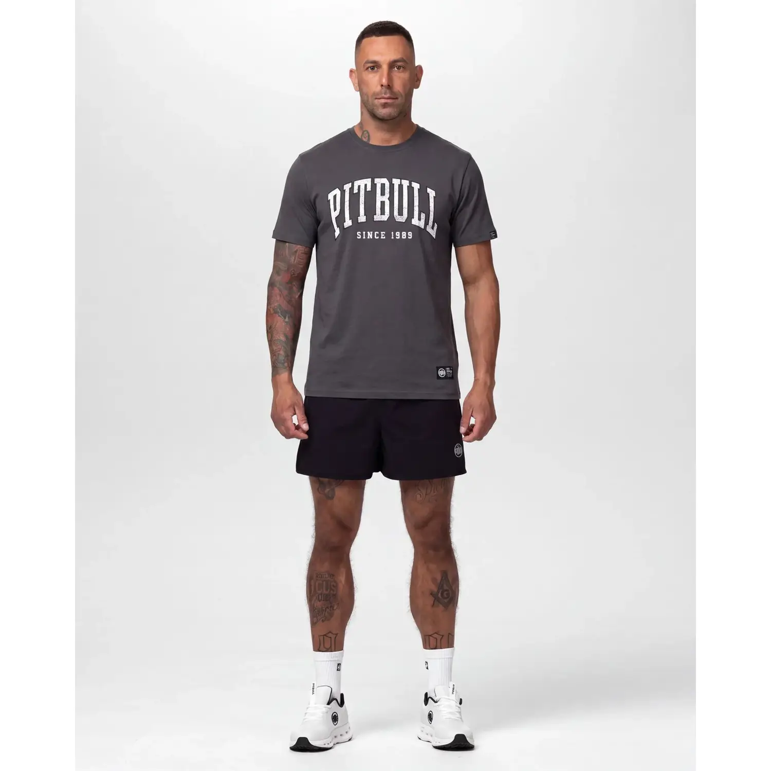 Pit Bull West Coast T-Shirt, Norton, grey, XXXL