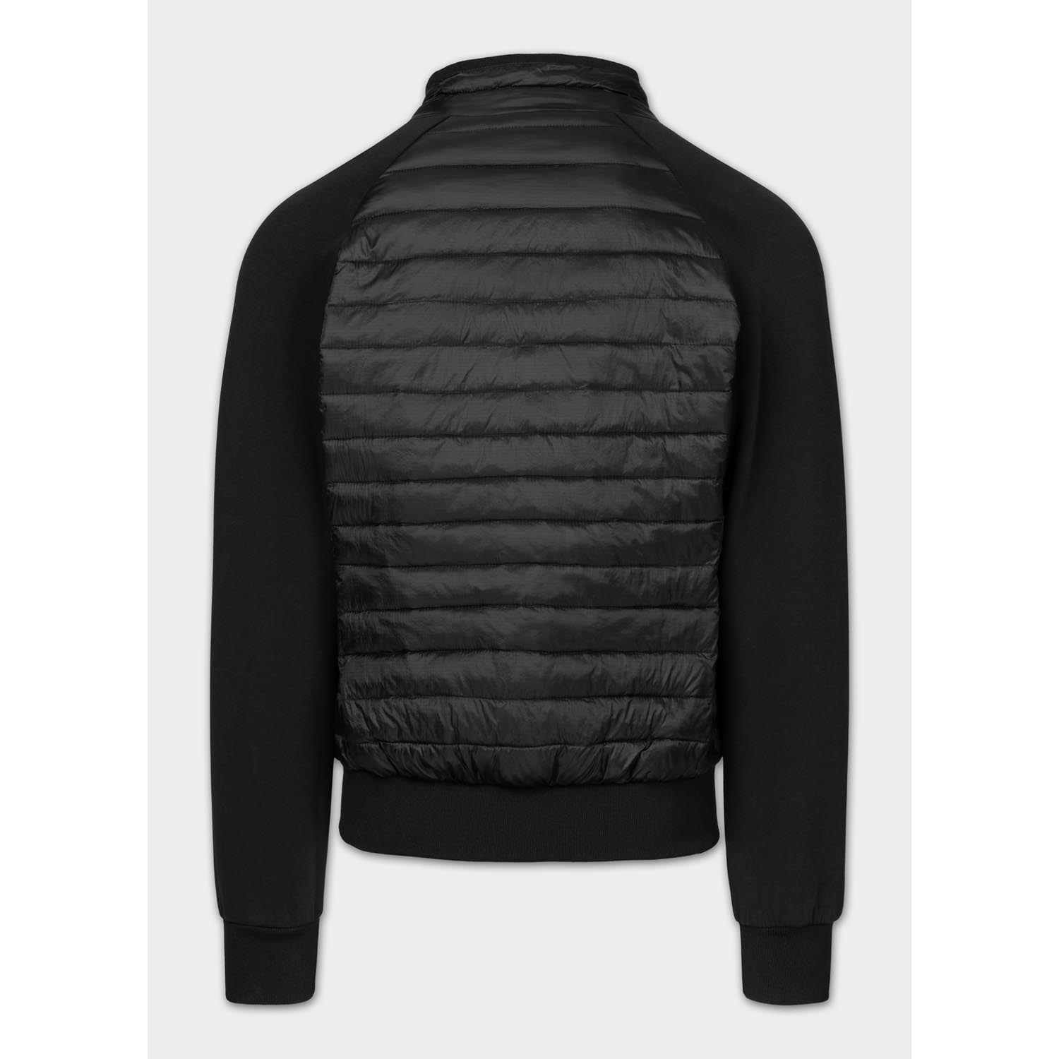 Pit Bull West Coast Transitional Jacket, Hofer Hybrid, black, XXXL