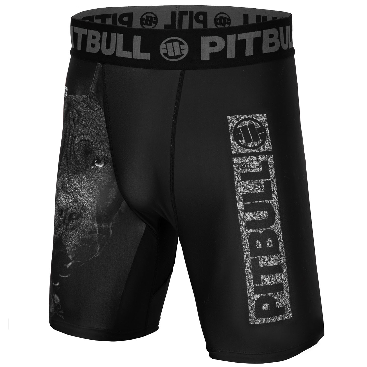 Pit Bull West Coast Compression Shorts, Born In 1989, schwarz