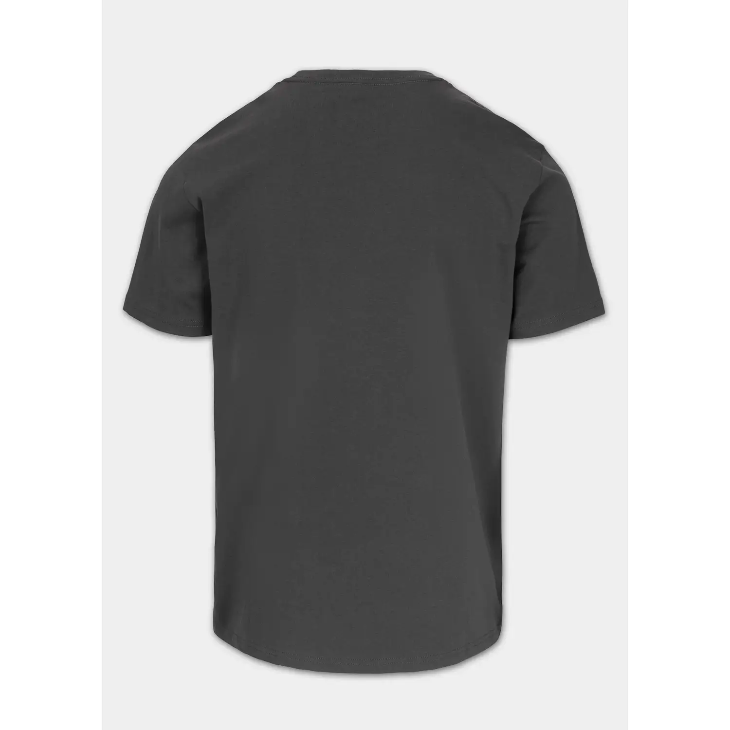 Pit Bull West Coast T-Shirt, Norton, grey, M