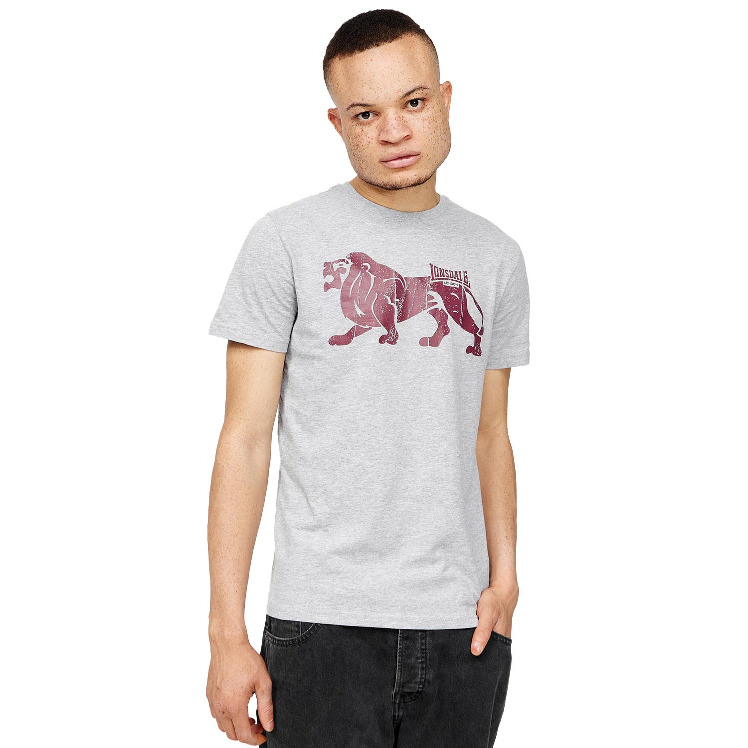 Lonsdale T-Shirt, Endmoor, grau, XXXL