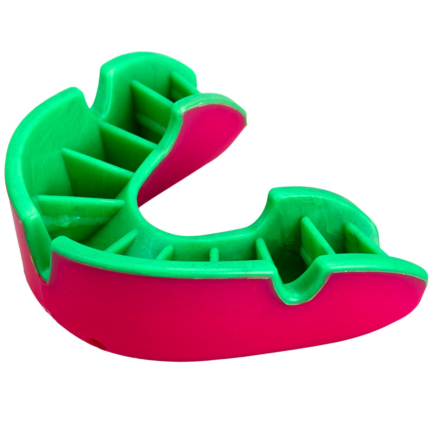 OPRO Mouth Guard, Silver, pink-green