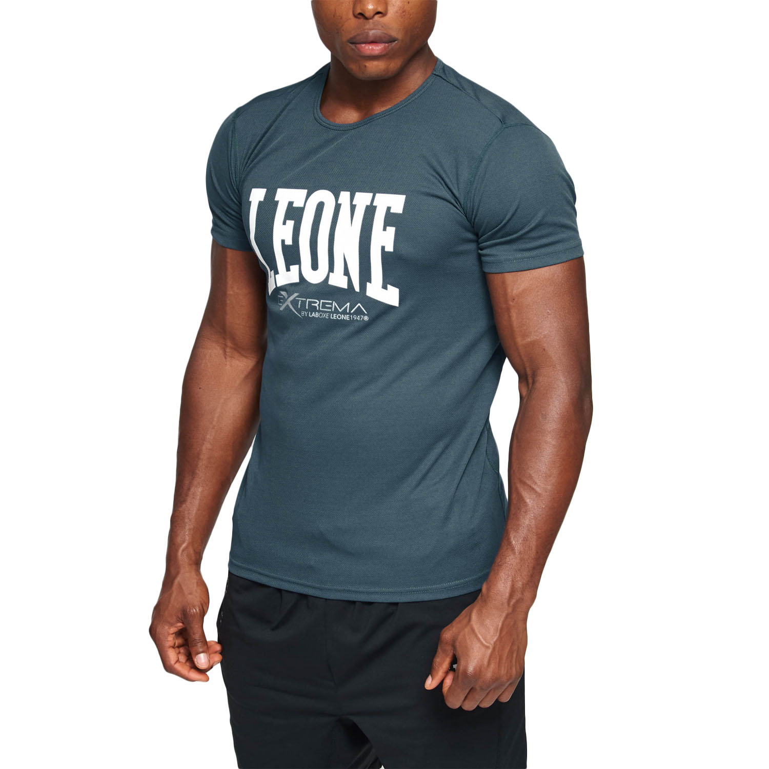 LEONE T-Shirt, Logo, ABX106, grau