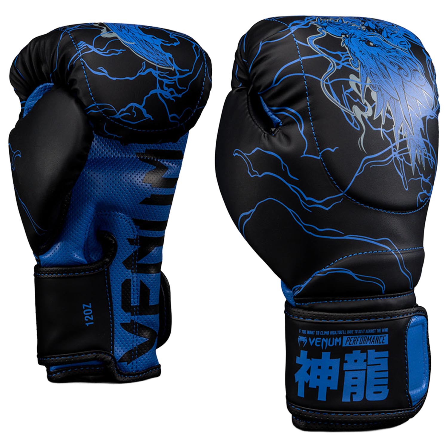 VENUM Boxing Gloves, Thunder Dragon, black-blue, 10 Oz
