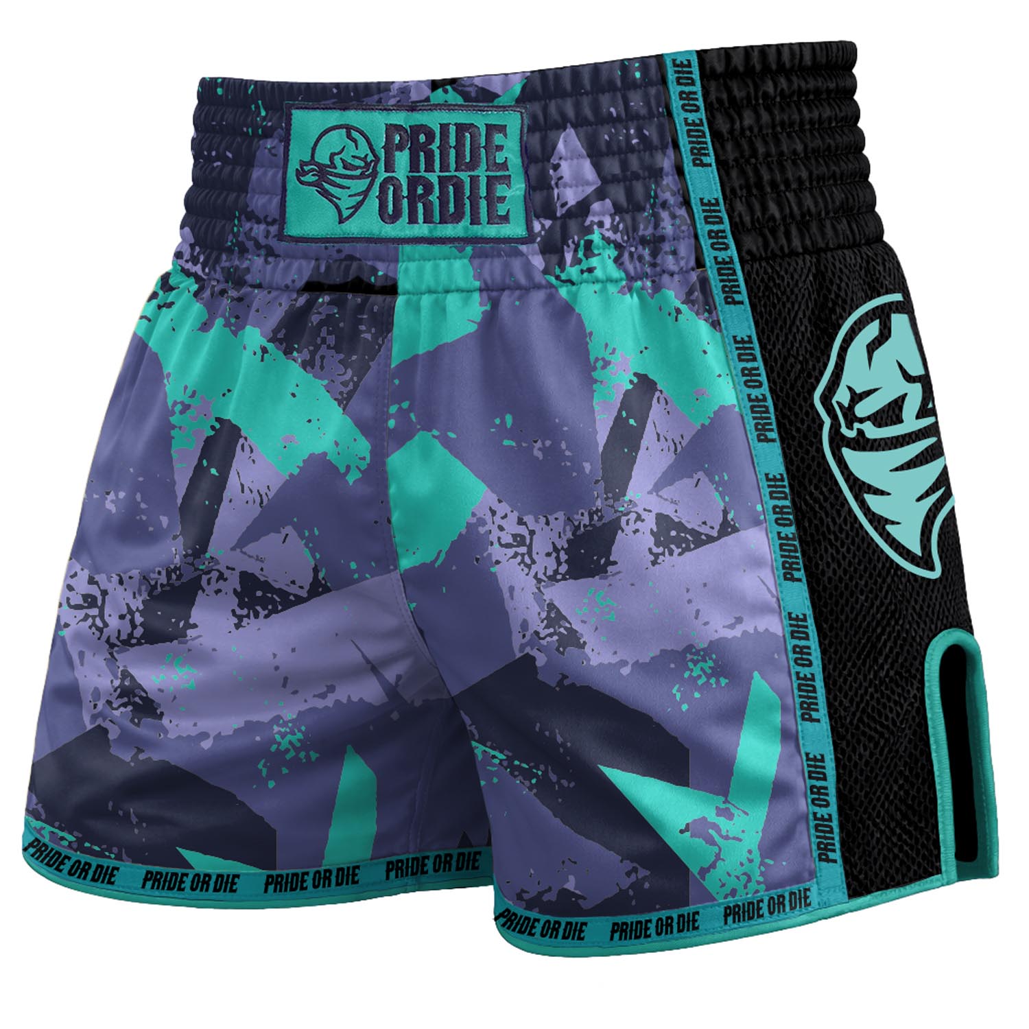 PRiDEorDiE Muay Thai Shorts, Reckless 2.0, grey-green, S