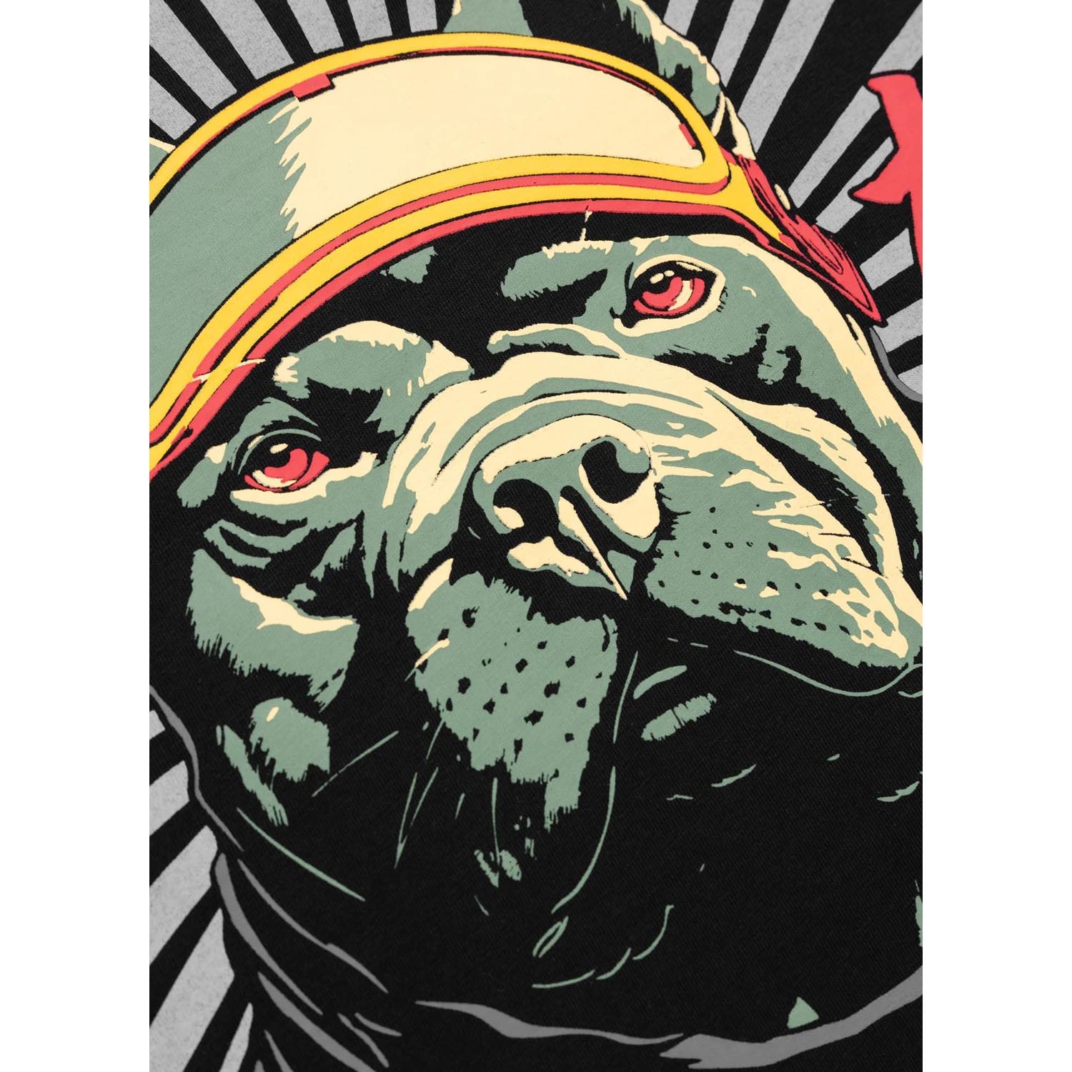 Pit Bull West Coast, T-Shirt, Mt. Fuji, black, XXXL