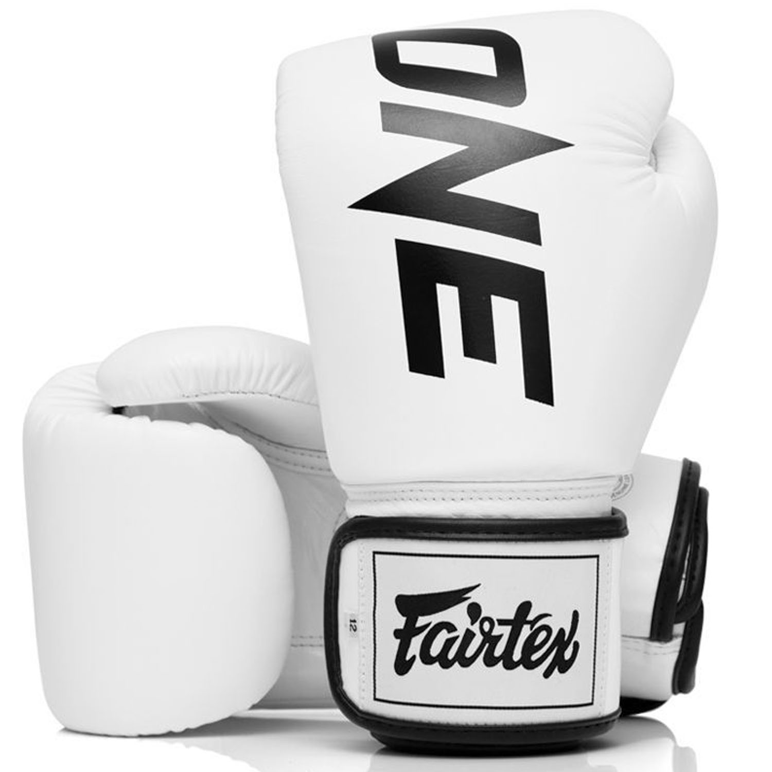 Fairtex Boxing Gloves, BGV1 ONE, white
