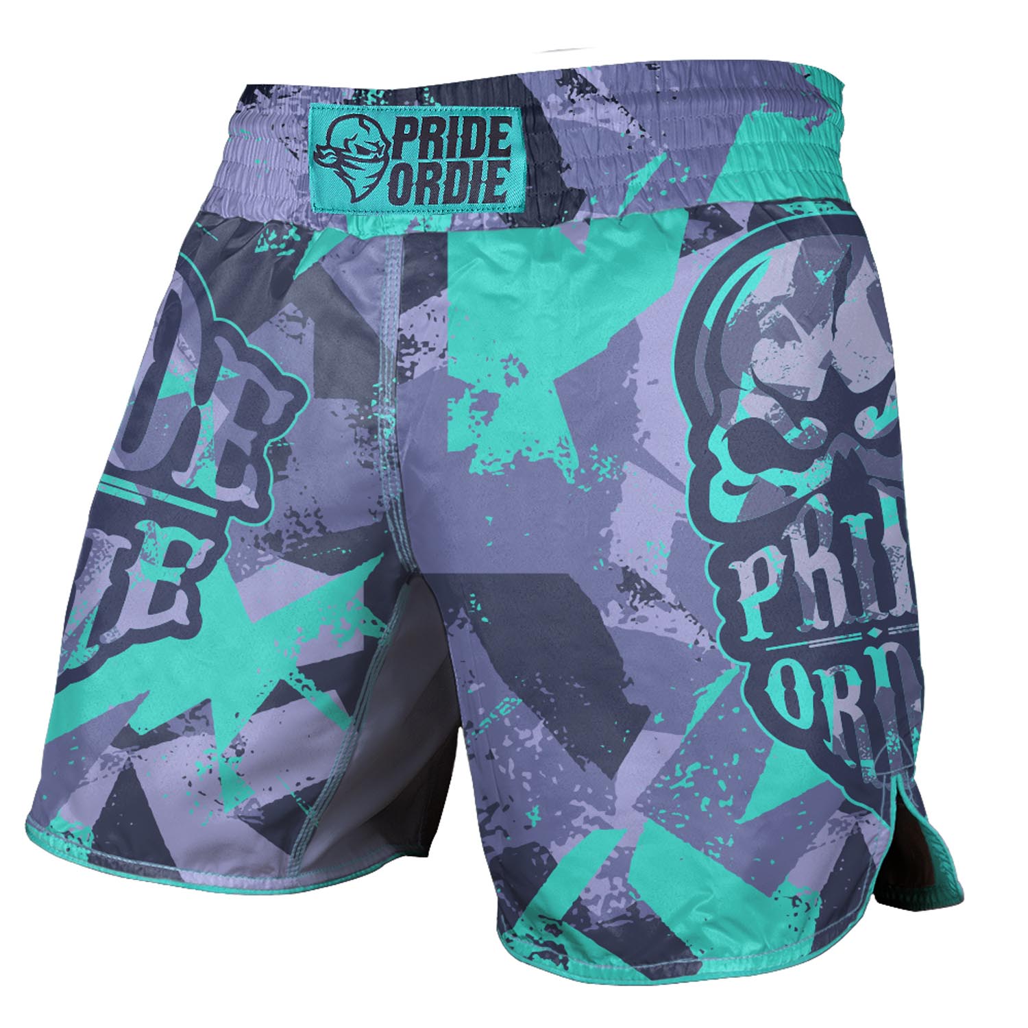 PRiDEorDiE MMA Fight Shorts, Reckless 2.0, grey-green, L