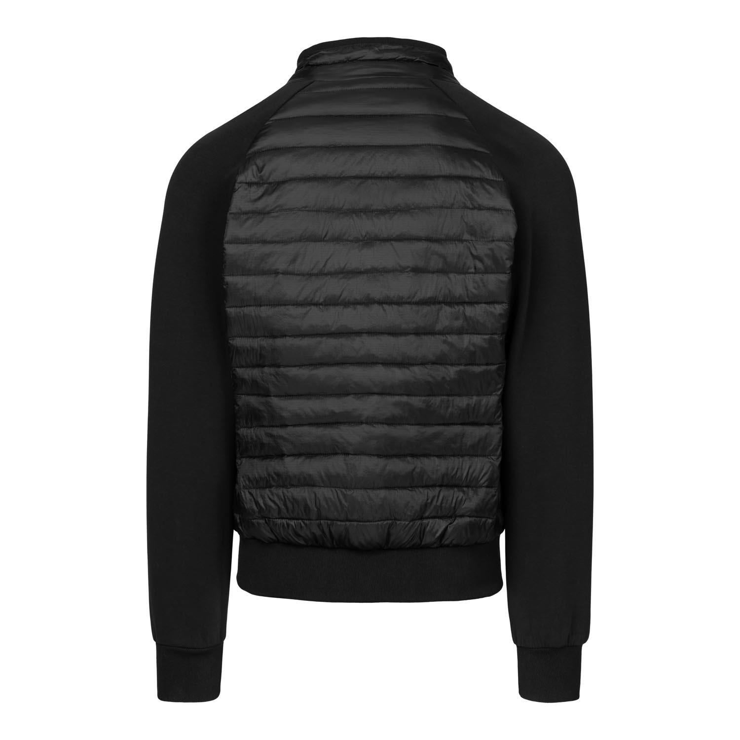 Pit Bull West Coast Transitional Jacket, Hofer Hybrid, black, XXXL