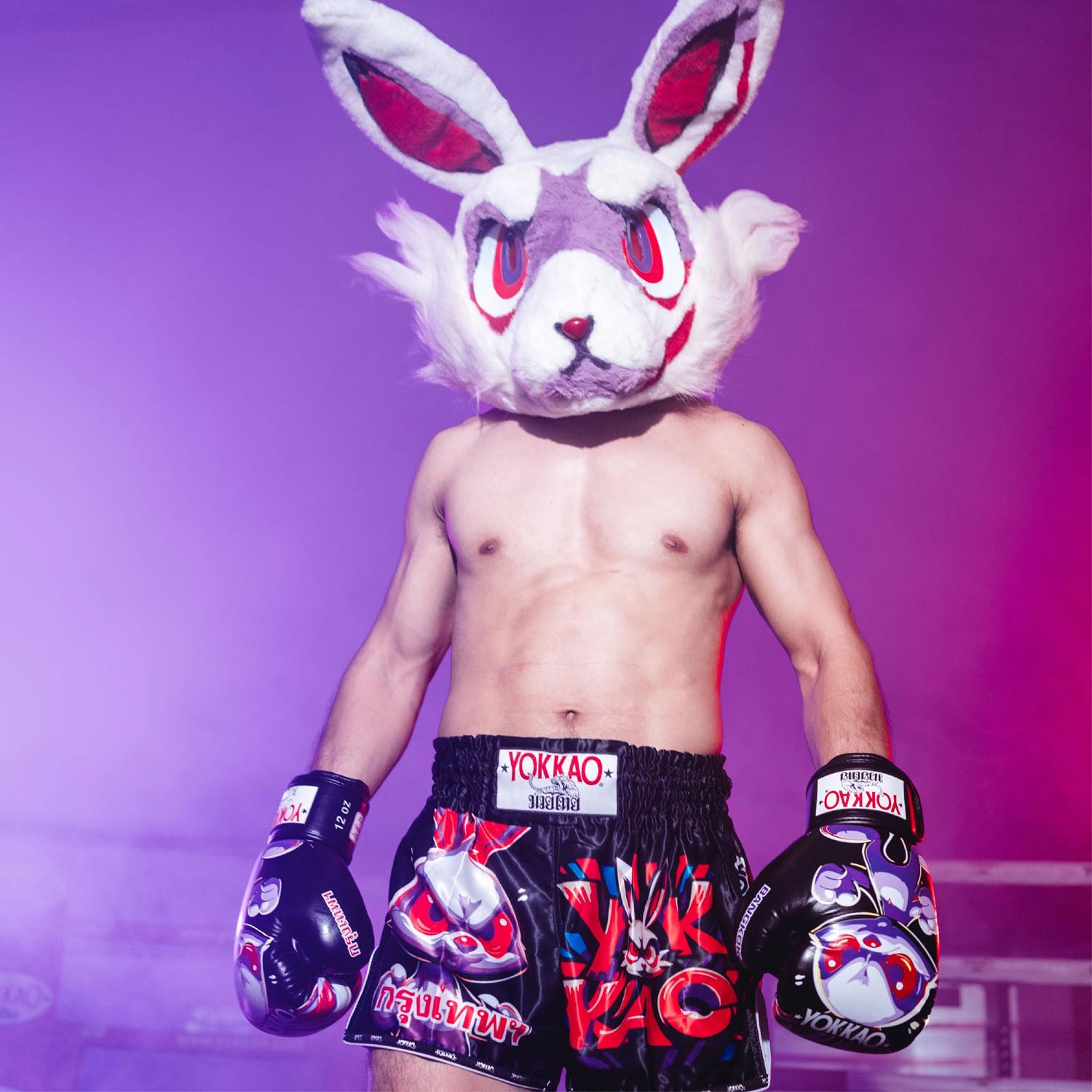 YOKKAO Boxing Gloves, Angry Rabbit, black-purple, 16 Oz