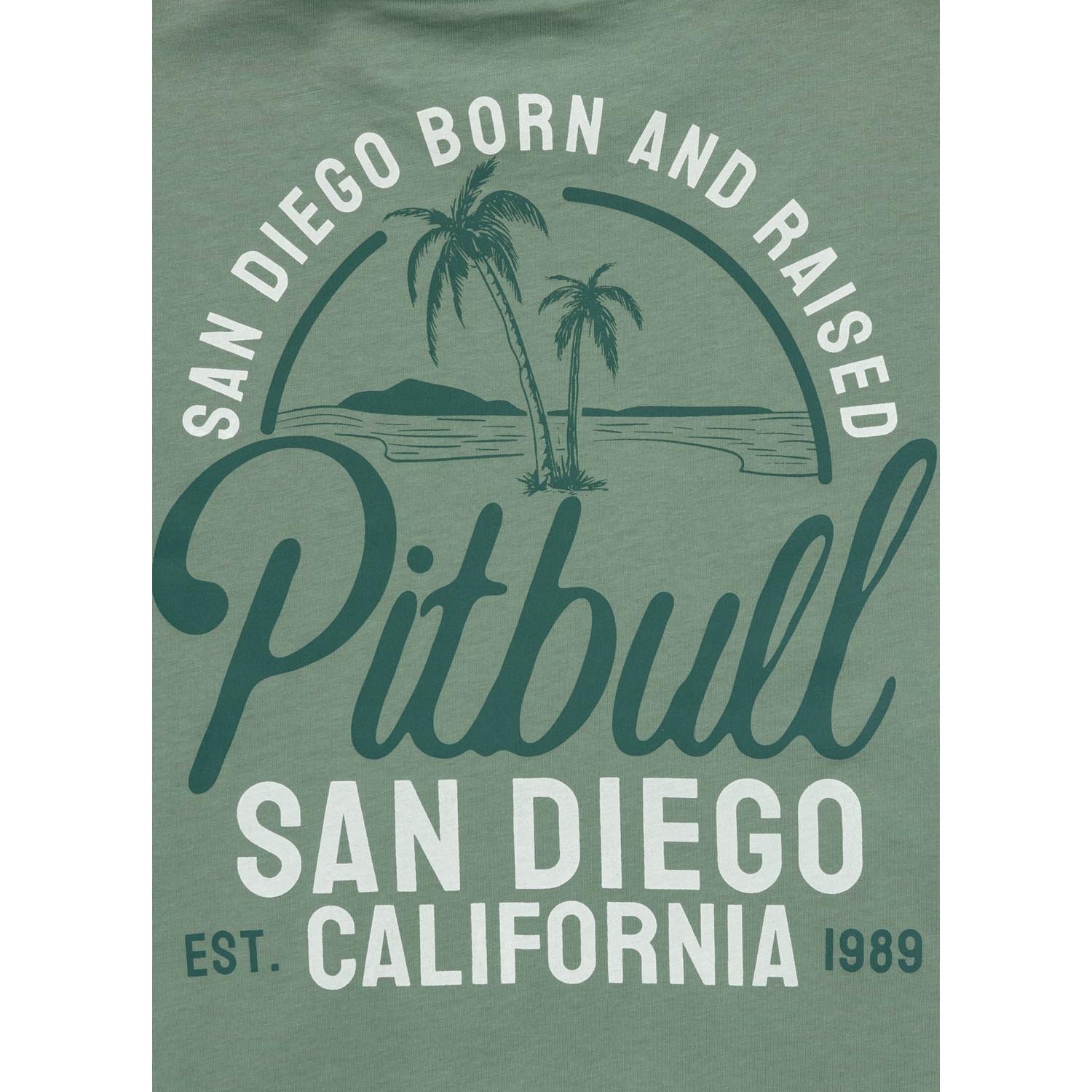 Pit Bull West Coast, T-Shirt, San Diego Born, green, XXXL