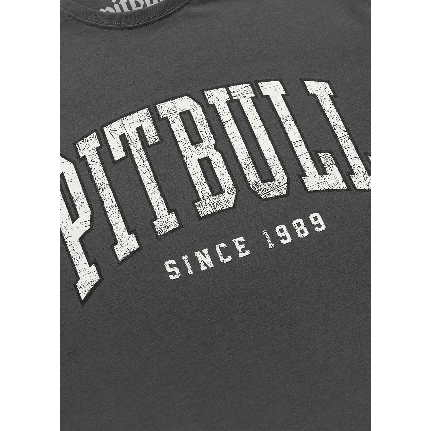 Pit Bull West Coast T-Shirt, Norton, grey, XXXL