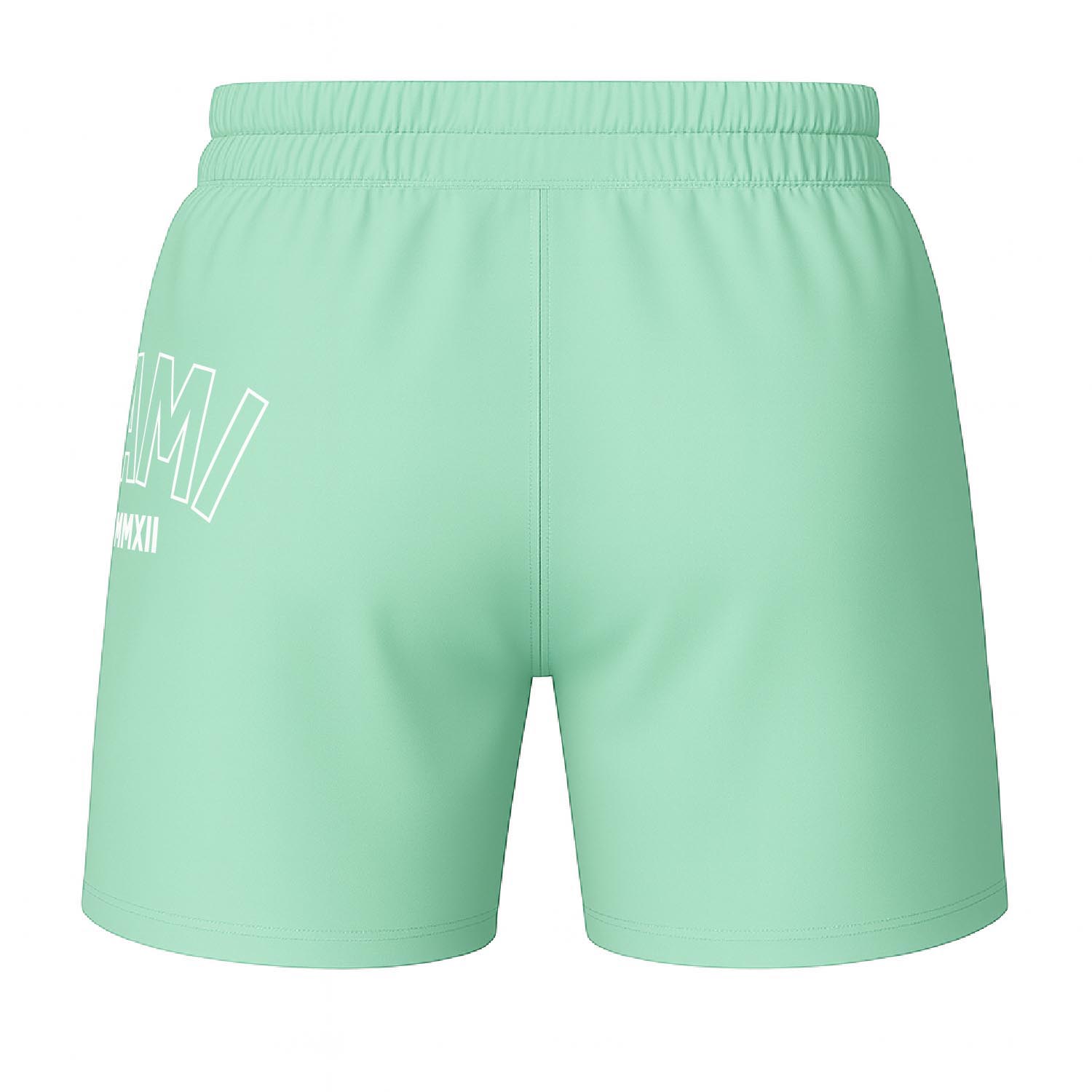 OKAMI MMA Fight Shorts, Logo, mint, XXL