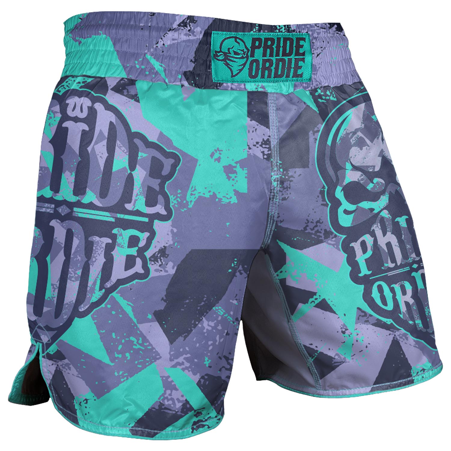 PRiDEorDiE MMA Fight Shorts, Reckless 2.0, grey-green, XXL