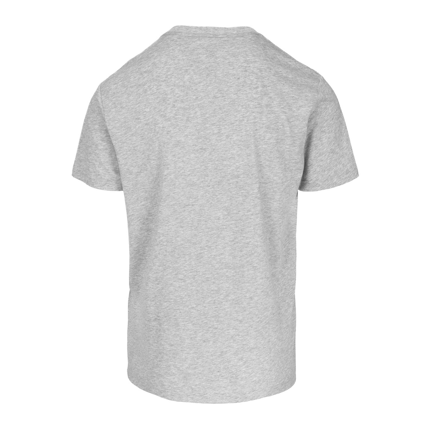 Pit Bull West Coast T-Shirt, Scott, grey, XXXL